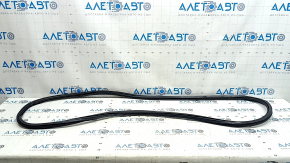 Front left door seal Audi A6 C7 12-18 tear
