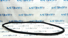 Lincoln Corsair 20-26 rear right door seal