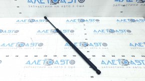 Left Hood Strut for Lincoln Corsair 20-26
