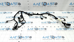 Lincoln Corsair 20-26 Lower Tailgate Wiring
