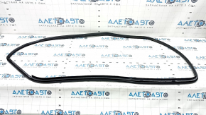 Rear left door seal for Toyota Prius 30 10-15 black