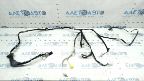 Toyota Rav4 16-18 Keyless Front Right Door Wiring