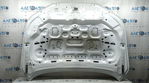 Honda Accord 23-26 aluminum hood, white NH-883P