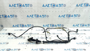 Honda Accord 23-Front Right Door Wiring