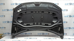 The bare hood of a Volkswagen Tiguan 18-24