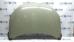 Hood bare VW Tiguan 09-17 SIGNEDA