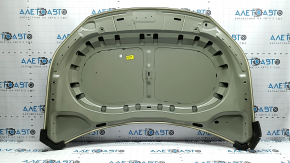 Hood bare VW Tiguan 09-17 SIGNEDA