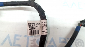 Kia Sportage 23-26 HEV Rear Axle Wiring
