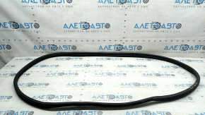 Rear right door seal for Kia Sportage 23-26