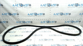 Kia Sportage 23-26 trunk door rubber seal