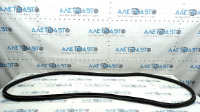 Kia Sportage 23-26 trunk door rubber seal