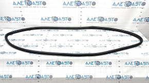 Jeep Grand Cherokee WK2 11-22 Front Right Door Seal