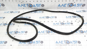 The rear right door seal of a Ford Focus mk3 11-18 is torn.