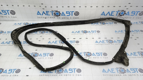 Lexus GS300 GS350 GS430 GS450h 06-11 rear right door seal tear