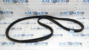 Lincoln MKZ 13-20 trunk lid seal tears