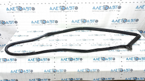 Front right door seal for VW Beetle 12-16