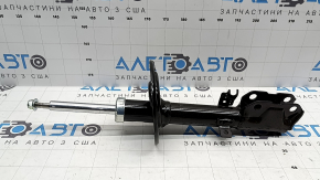Shock absorber rear right Toyota Camry v55 15-17 usa SE