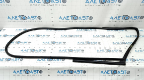 Kia Niro 17-22 rear left door seal, torn
