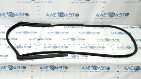 Kia Niro 17-22 rear left door seal, torn
