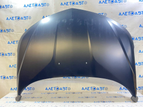 Naked hood of Chevrolet Volt 16-