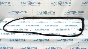 Lexus CT200h 11-17 Front Left Door Seal