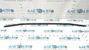 Hood seal on the Lexus CT200h bumper 14-17
