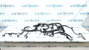 Lexus CT200h 11-12 engine wiring