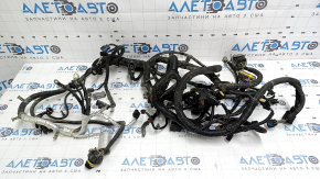 Cadillac ATS 13-2.0T Underhood Wiring