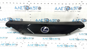 Lexus CT200h 16-17 trunk lid trim with emblem, under the camera, scratches on the emblem
