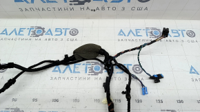 BMW X3 G01 18-21 Keyless Front Right Door Wiring