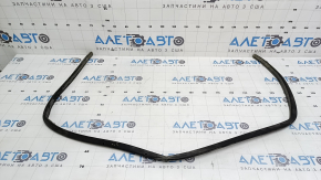 Tesla Model 3 18 rear left door seal - tear