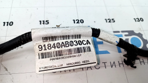 Hyundai Elantra 21-26 TV Wiring
