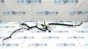 Toyota Sienna 21-26 rear right door wiring