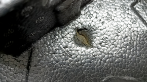 The foam under the Kia K5 21-24 tool is crushed