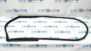 Kia K5 21-24 rear left door seal with tears