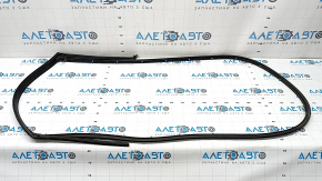 Kia K5 21-24 rear right door seal