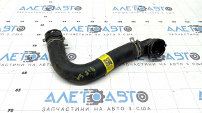 Lower cooling hose Kia K5 21-24 1.6T