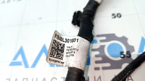 Kia K5 21-24 TV Wiring