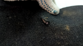 Kia K5 21-26 trunk floor is black, has tears, needs cleaning
