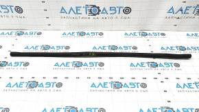 Kia K5 21-26 Hood Seal