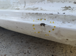Front right quarter panel of a Kia Niro 23-26 HEV, PHEV on the body, white, dented