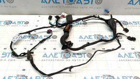 Audi Q8 19-26 front right door wiring