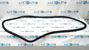 Door seal rear right BMW X7 G07 19-