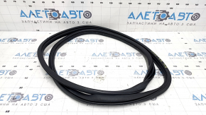 Rear right door seal for Honda Civic XI FE/FL 22-26