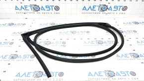 Rear left door seal for Honda Civic XI FE/FL 22-26 4d