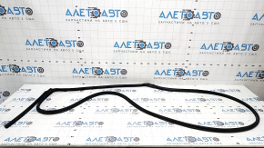 Rear right door seal for Honda Civic XI FE/FL 22-26 4d