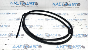 Rear right door seal for Honda Civic XI FE/FL 22-26 4d