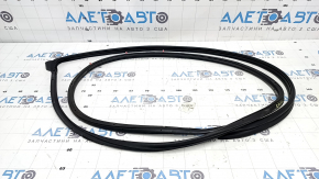 Honda Civic XI FE/FL 22-26 Front Left Door Seal