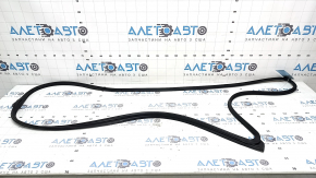 Honda Civic XI FE/FL 22-26 Front Left Door Seal