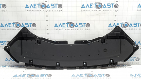 Lexus RX350 RX450h Front Bumper Guard (20-22 Scratches)